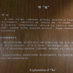 Bozhou Museum - Bozhou