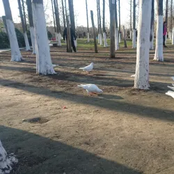 Longhu Park - Bozhou