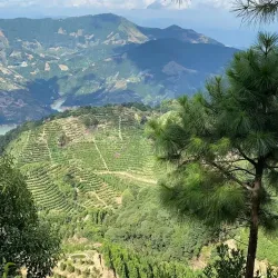 Phoenix Mountain Park - Chaozhou