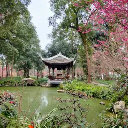 Du Fu Thatched Cottage - Chengdu