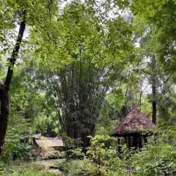 Du Fu Thatched Cottage - Chengdu
