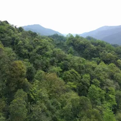 Mount Qingcheng - Chengdu