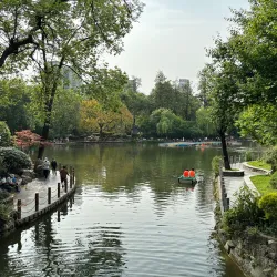 People's Park (Renmin Park) - Chengdu