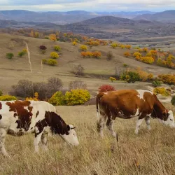 Wulanbutong Grassland - Chifeng