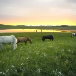 Wulanbutong Grassland - Chifeng