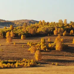 Wulanbutong Grassland - Chifeng