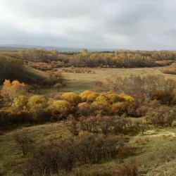 Wulanbutong Grassland - Chifeng
