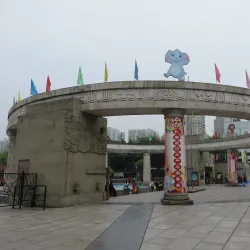 Chongqing Zoo - Chongqing
