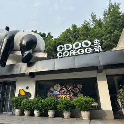 Chongqing Zoo - Chongqing