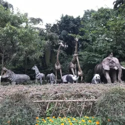 Chongqing Zoo - Chongqing