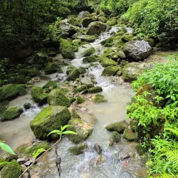 Wulong Karst National Geology Park - Chongqing