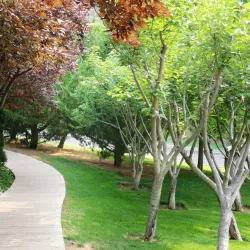 Bangchuidao Scenic Area - Dalian