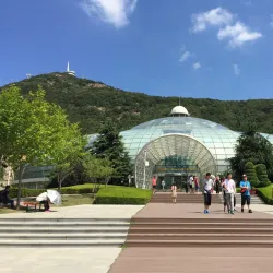 Dalian Forest Zoo - Dalian