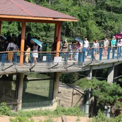 Dalian Forest Zoo - Dalian
