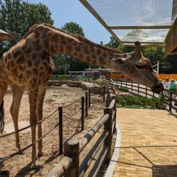 Dalian Forest Zoo - Dalian