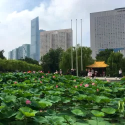 Dalian Laodong Park - Dalian