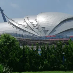 Dalian Shell Museum - Dalian