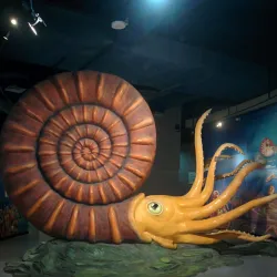 Dalian Shell Museum - Dalian