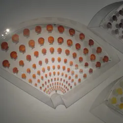 Dalian Shell Museum - Dalian