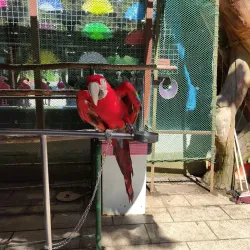 Laohutan Scenic Park (Tiger Beach) - Dalian