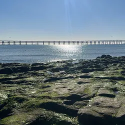 Xinghai Park - Dalian