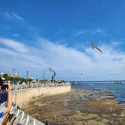 Xinghai Park - Dalian