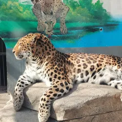 Dezhou Botanical Garden - Dezhou