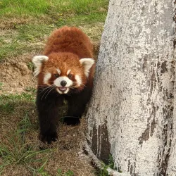 Qihe River Scenic Area - Dezhou