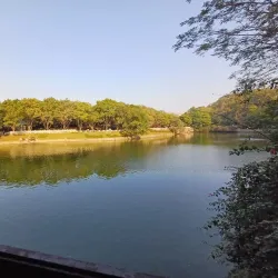 Qifeng Park - Dongguan