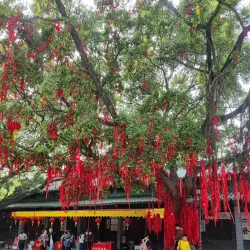 Qifeng Park - Dongguan