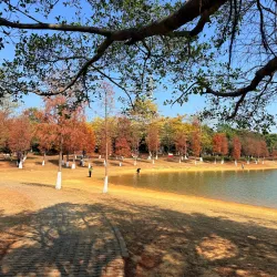 Songshan Lake Park - Dongguan