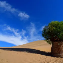 Crescent Lake (Yueyaquan) - Dunhuang
