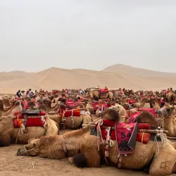 Singing Sand Dunes (Mingsha Shan) - Dunhuang