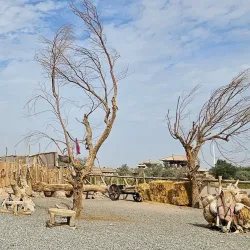 Yangguan Pass - Dunhuang