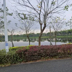 Xiqiao Mountain National Forest Park - Foshan