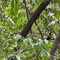 Fuzhou Hot Spring Park - Fuzhou