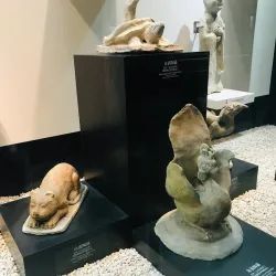 Fuzhou Museum - Fuzhou