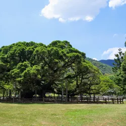 Fuzhou National Forest Park - Fuzhou