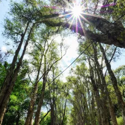 Fuzhou National Forest Park - Fuzhou