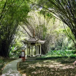 Fuzhou National Forest Park - Fuzhou