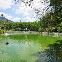 Fuzhou National Forest Park - Fuzhou