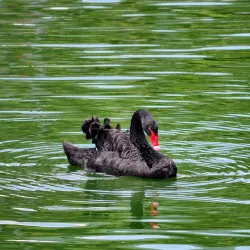 Fuzhou National Forest Park - Fuzhou