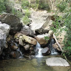 Fuzhou National Forest Park - Fuzhou