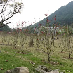 Fuzhou National Forest Park - Fuzhou