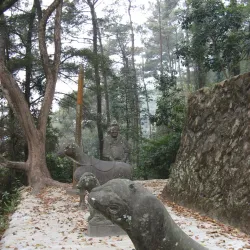 Fuzhou National Forest Park - Fuzhou