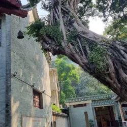 Temple of the Six Banyan Trees (Liurong Temple) - Guangzhou