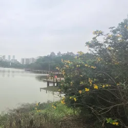 Guigang Botanical Garden - Guigang