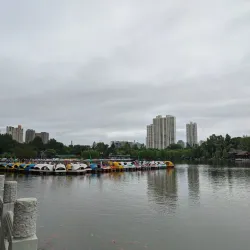 Guigang People's Park - Guigang