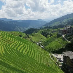 Longji Rice Terraces - Guilin