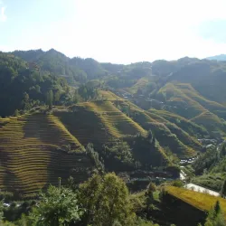 Longji Rice Terraces - Guilin